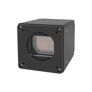 TS31MSGV-6M/C