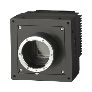TTS65MCXP-31M/C